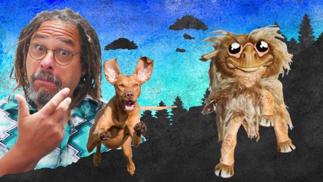 Whatever Happened to the Haggis Hunting Dog ?